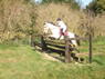Wickstead Jump5